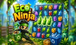 Eco Ninja image