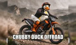 Chubby Duck Offroad image