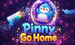 Pinny Go Home image