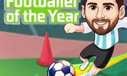 Footballer of the Year image