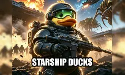 Starship Ducks image