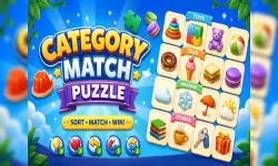 Category Match Puzzle image
