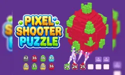 Pixel Shooter Puzzle image