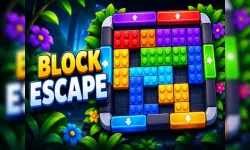 Blockibo: Color Blocks image