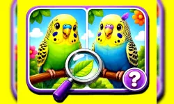Budgie Spot the Difference image