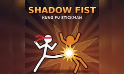 Shadow Fist   Kung Fu image