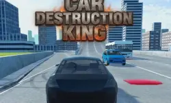 Car Destruction King image