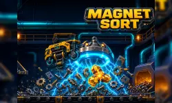 Magnet Sort image