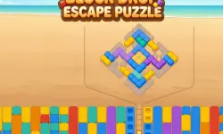 Block Drop Escape Puzzle image