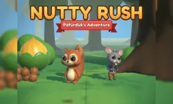 Nutty Rush image